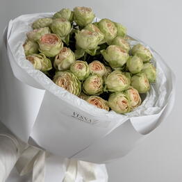 Vesna Flowers