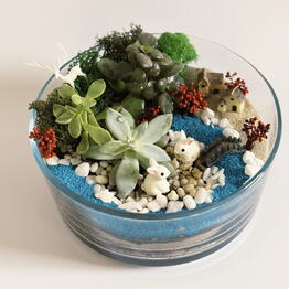 Plan Plants