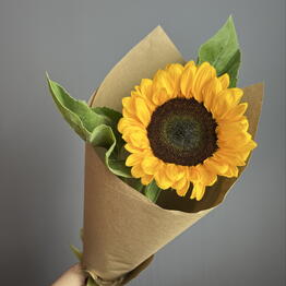 Volkova flowers