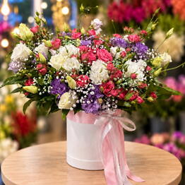 M. Fantasy