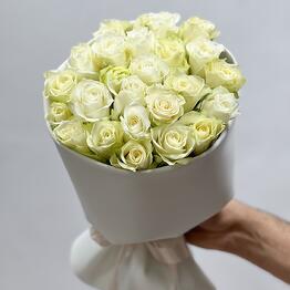  Flowergarden