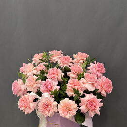 Bloomera flow