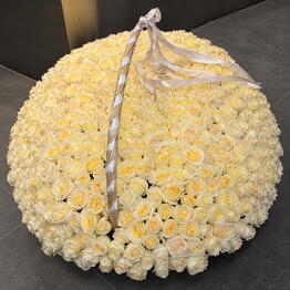 Why Not Flowers