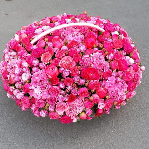 Fuscia