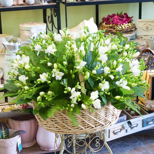 Basket of white freesia (freesia 101)