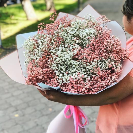 XL букет из розовой гипсофилы