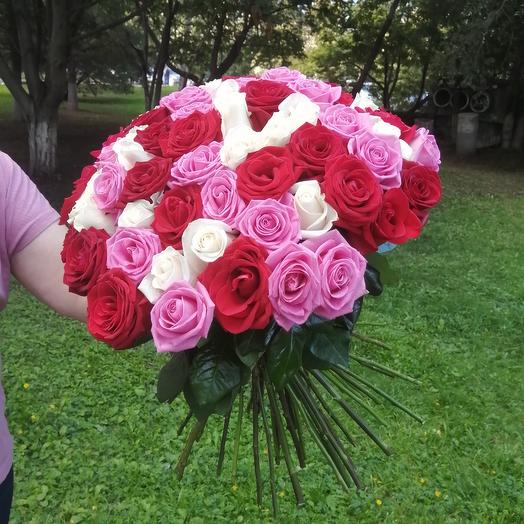 65 rosas