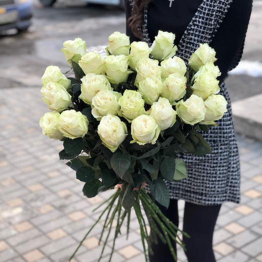 Rosa Holanda 70cm