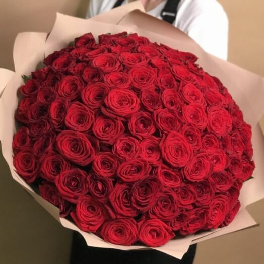 Red Dragon 101 pcs