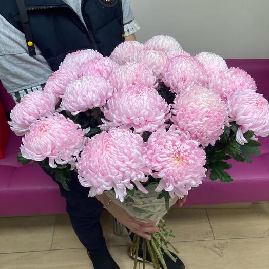 19 розовых хризантем