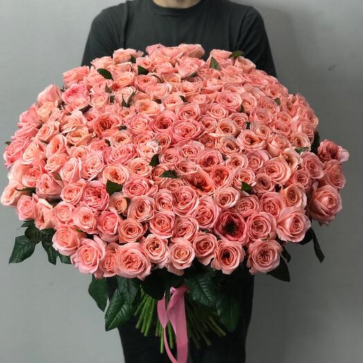 Пионовидная Роза 😍 Айс