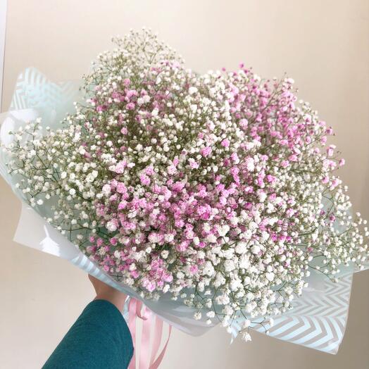 Softness