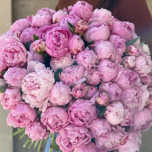 Pink peonies