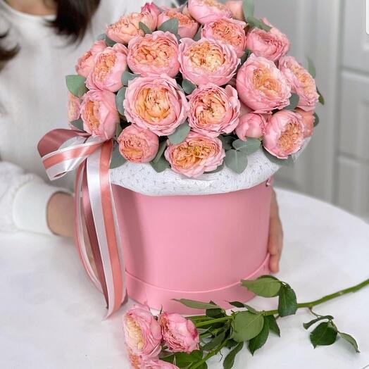 Box "Juliet"