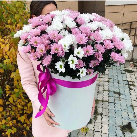 Chrysanthemum box