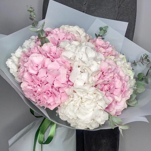 Hortensias