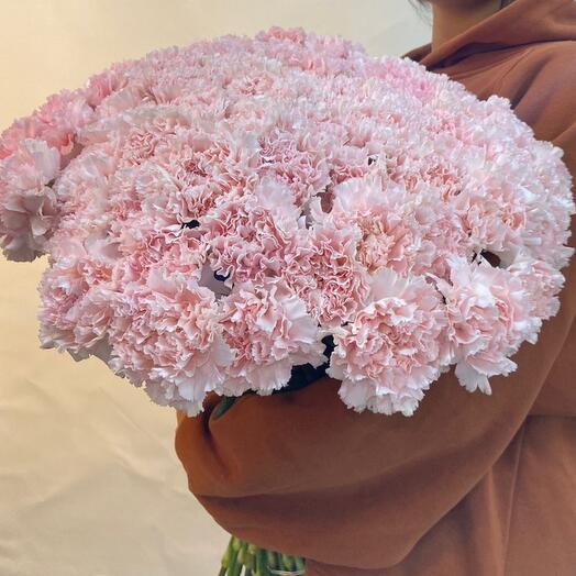 Pink carnation 35 pieces