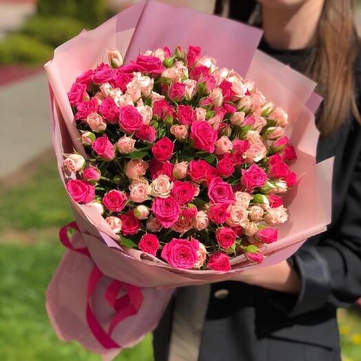 Mezcla de arbustos de rosas