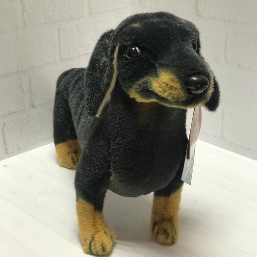 Perro basset