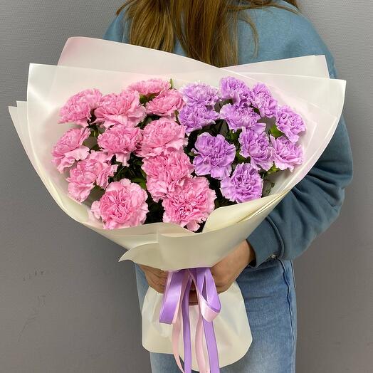 Dianthus