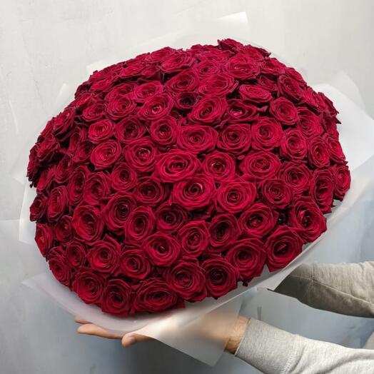 Роза классическая 50 см 101шт