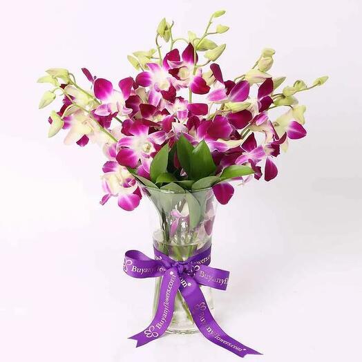 10 Purple Orchid in Vase