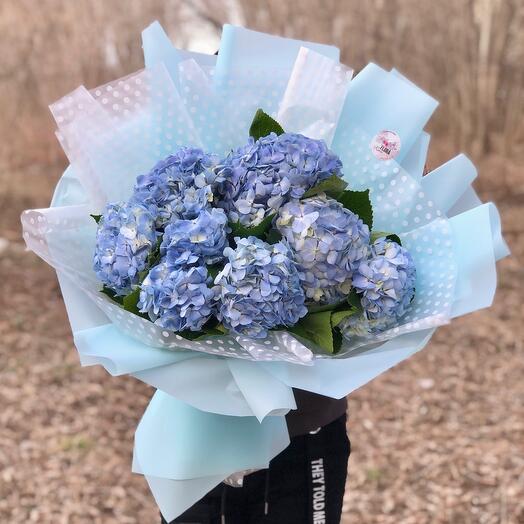 Hydrangeas