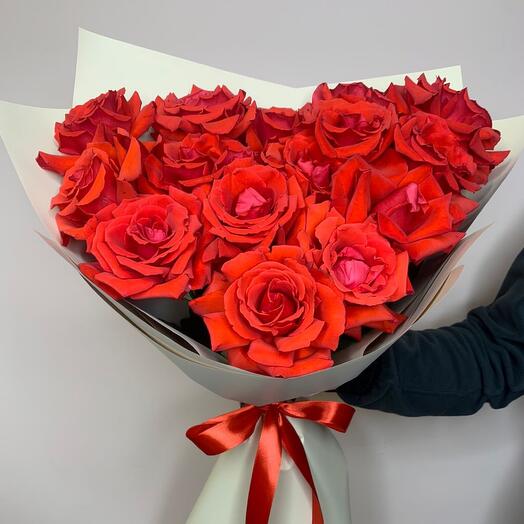 Scarlet French roses