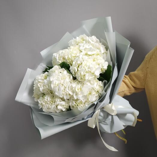 7 white hydrangeas
