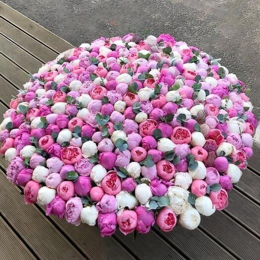 Корзина из 301 отборного пиона