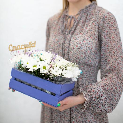 Лето в ромашках