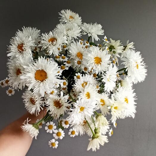 Ramo de margaritas y tanacetum