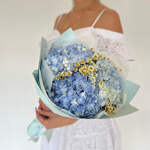 Ramo de hortensias y Matricaria