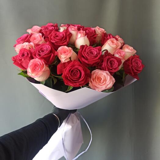 31 rosa