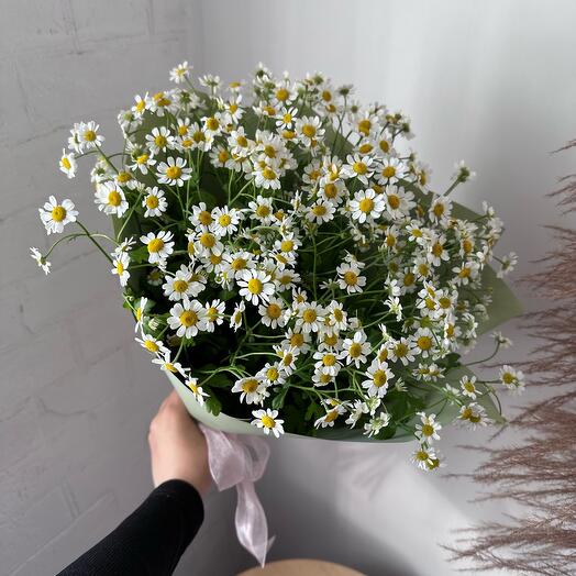 Букет ромашек S