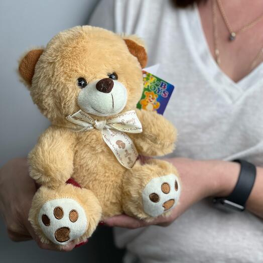 A soft Teddy Bear