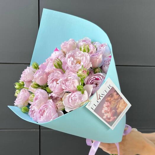 Lavender bush Rose