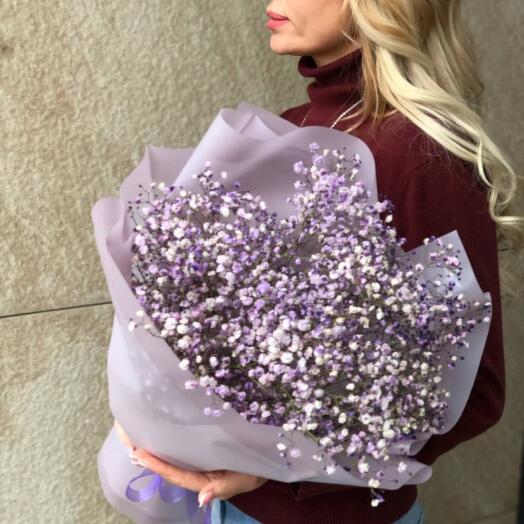 THE GYPSOPHILA COMPLIMENT