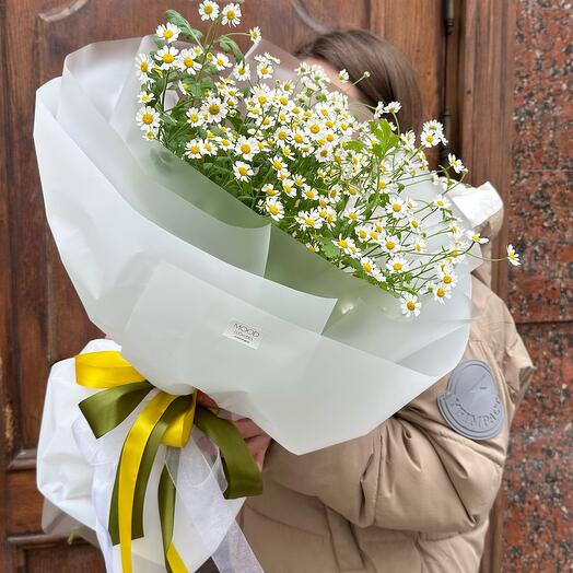 Акция Ромашка полевая