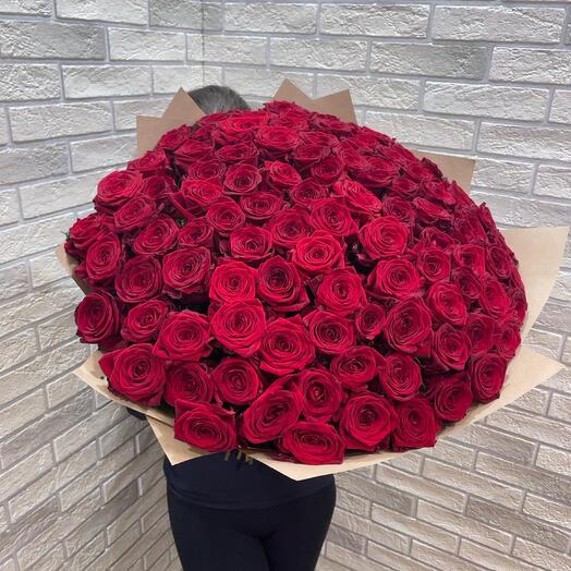 101 Roses 60 cm