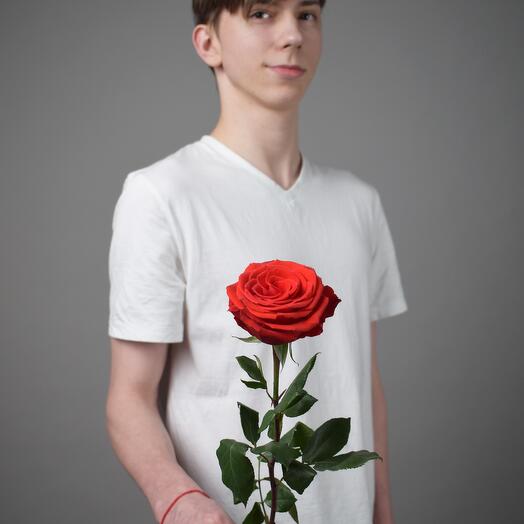 Роза оранжевая