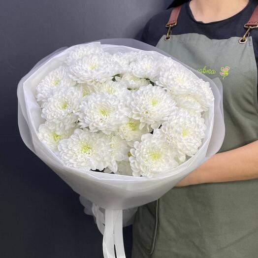 5 кустовых хризантем (6)