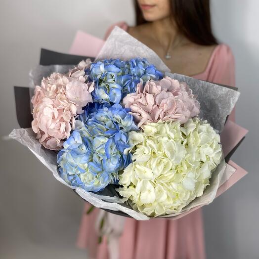 5 hydrangeas