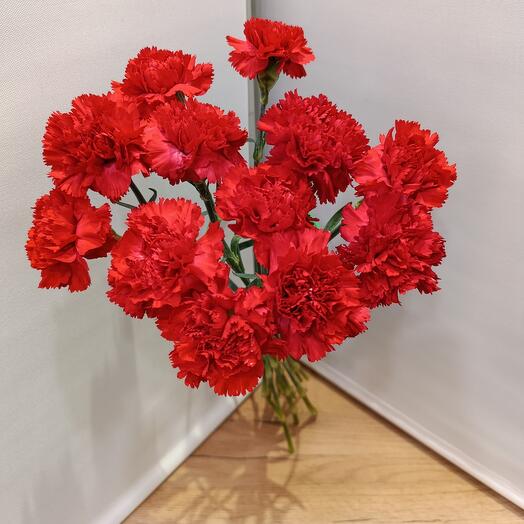 Гвоздика красная Голландия 12 штук