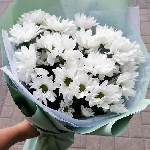 Моно Ромашки