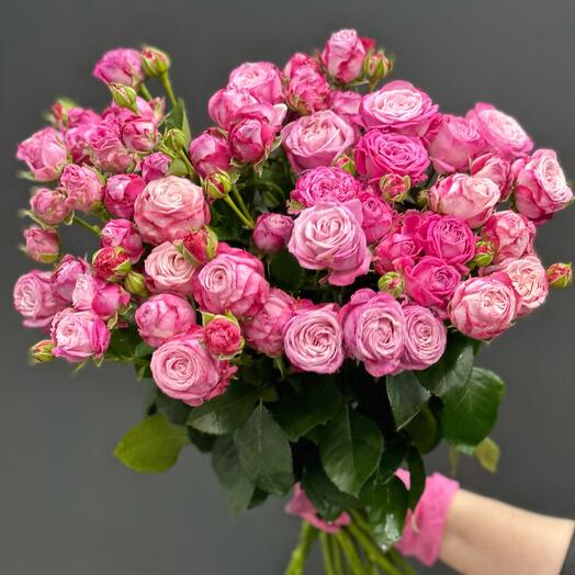 Роза кустовая пионовидная 15шт