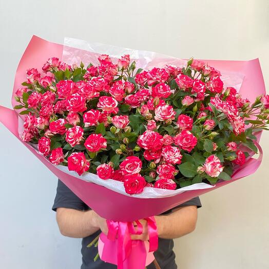 Mono de 11 rosas arbustivas