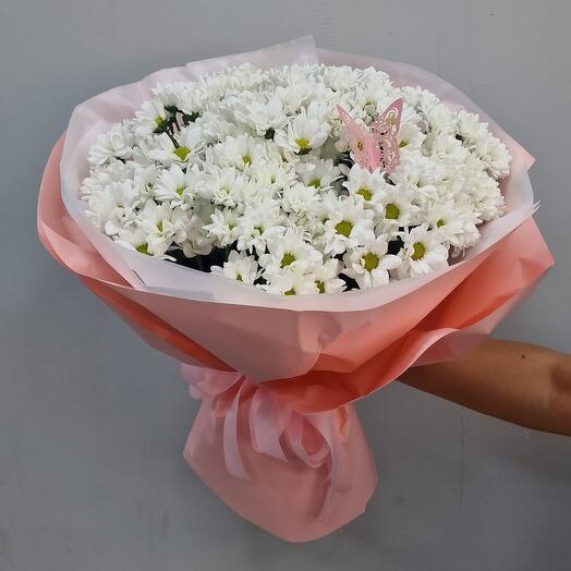 Ромашковидная хризантемма