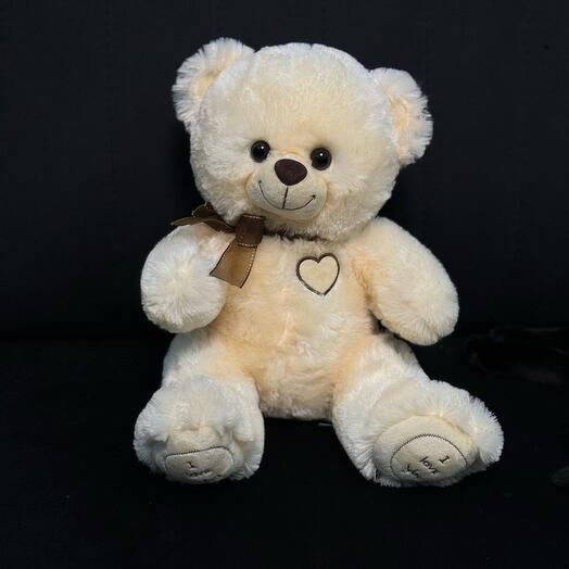 Teddy bear 1