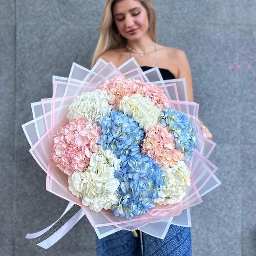 11 hydrangeas
